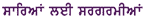 Punjabi  translation
