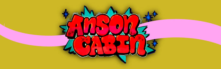 anson cabin
